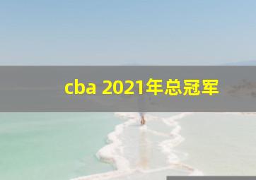 cba 2021年总冠军